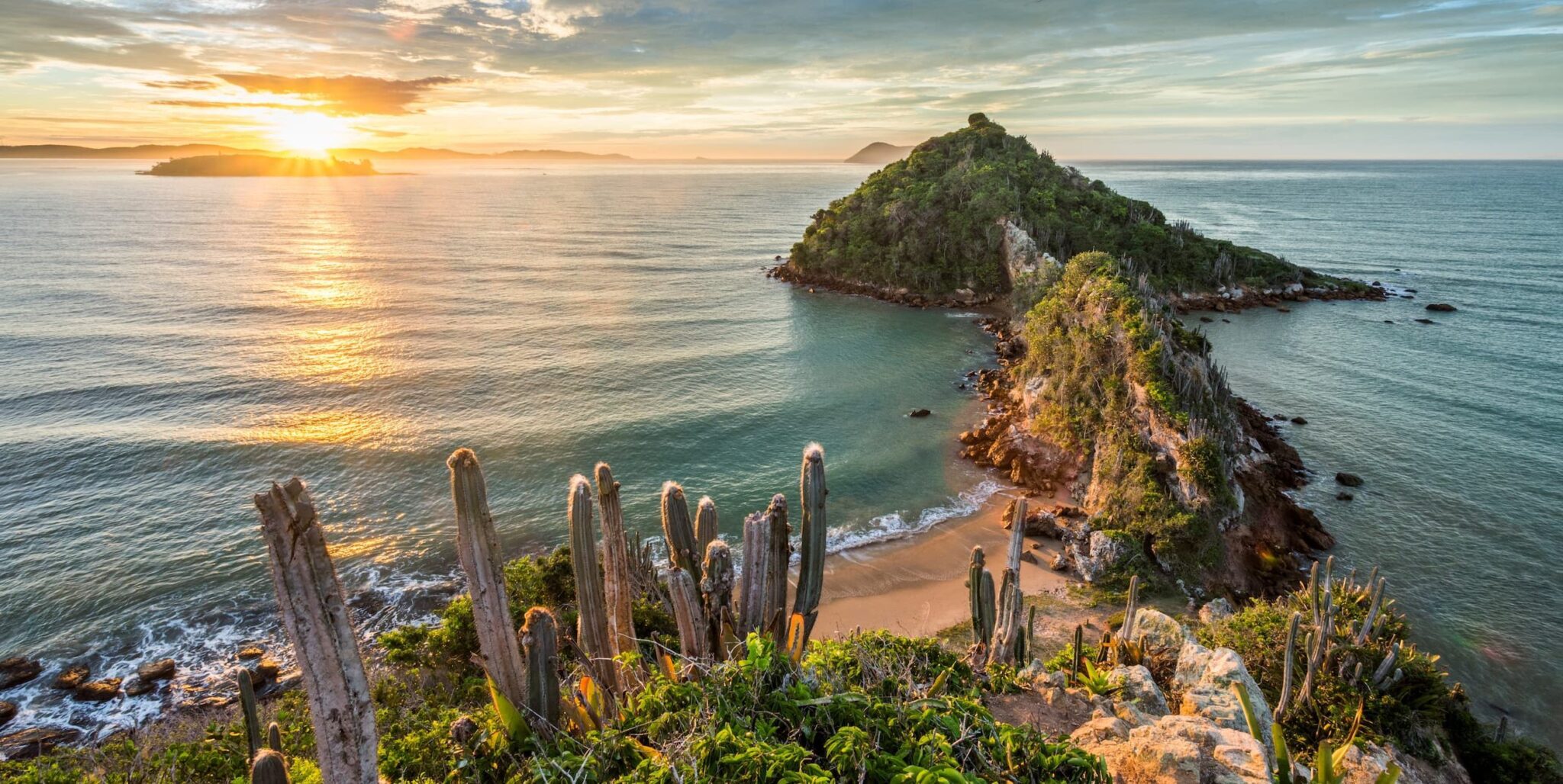 Ponta do Pai Vitório Trail