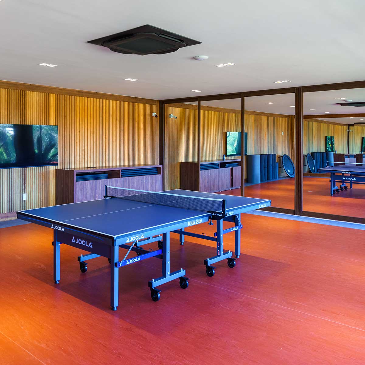 Table Tennis